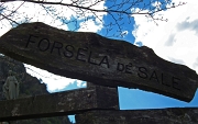 24 Forcella di Sale (1018 m.) ...